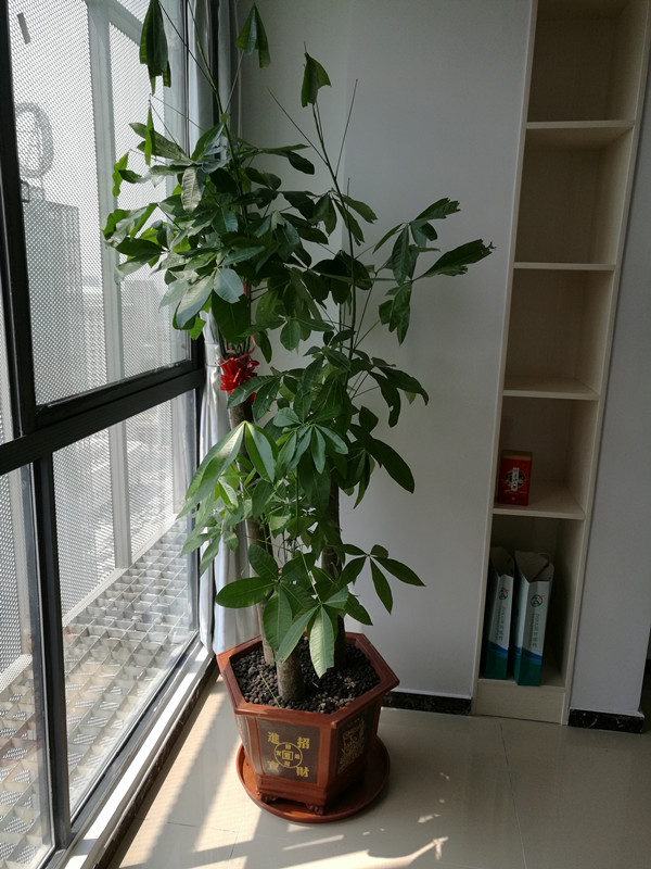 s_1815818576.jpg